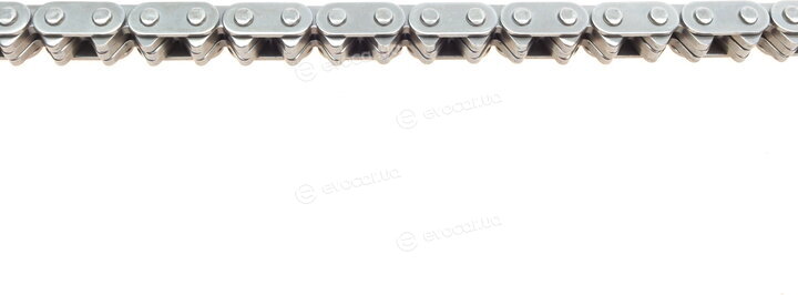 Borsehung B1C011