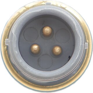 Delphi TS10272