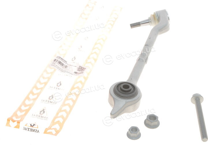 AS Metal 23BM0300