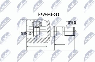NTY NPW-MZ-013
