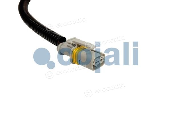 Cojali 2261492