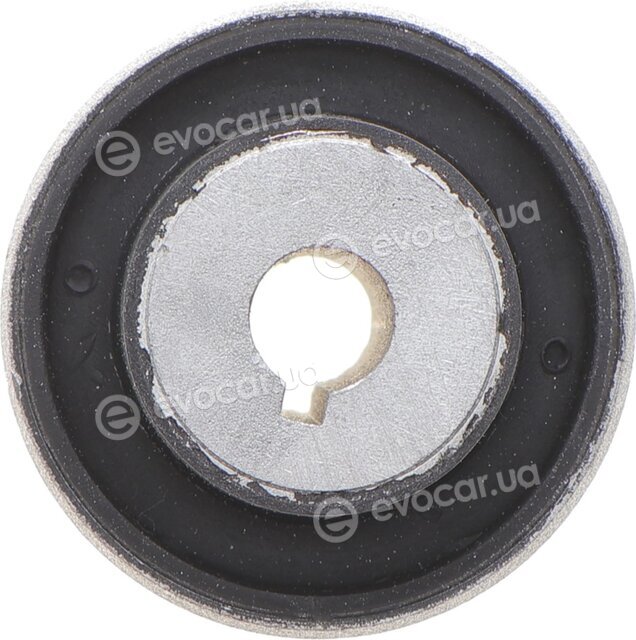 GSP 533901