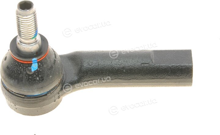 Borsehung B11343