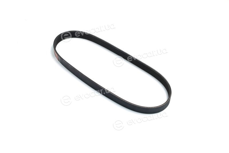 Gates 6PK803