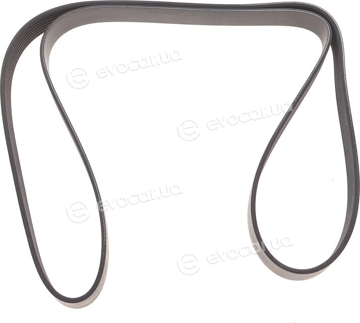 Dayco 7PK1705DT
