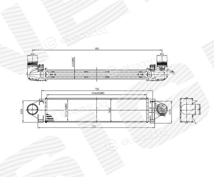Signeda RI96471