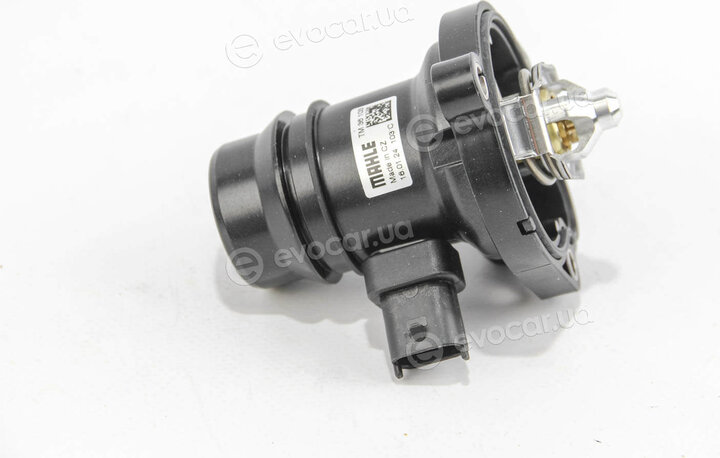 Mahle TM 36 103