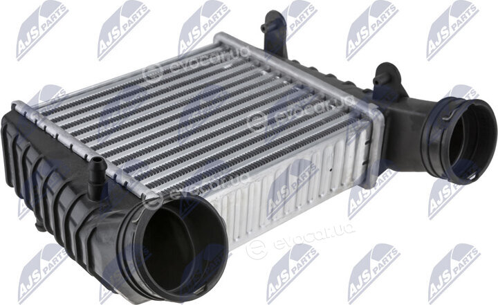 NTY CNG-SK-001