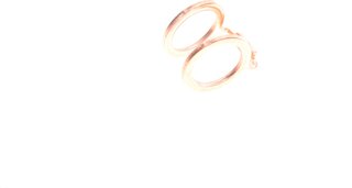 Elring 574.840