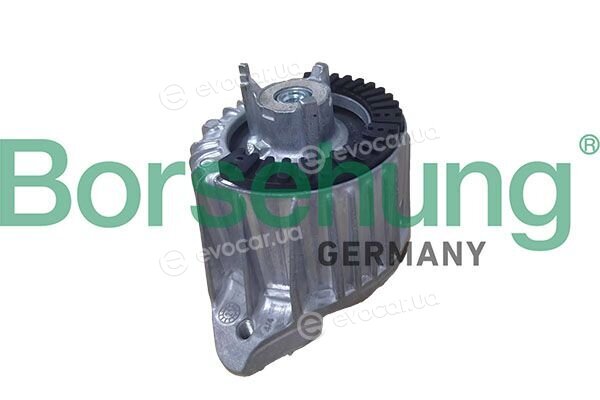 Borsehung B10997
