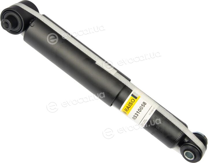 Raiso RS310058