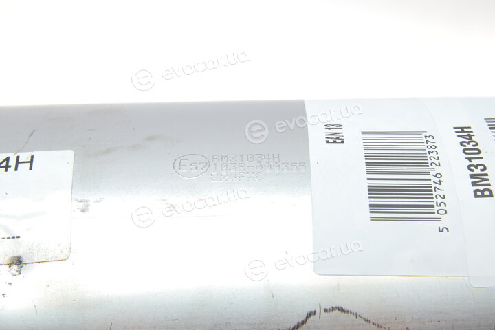 BM Catalysts BM31034H