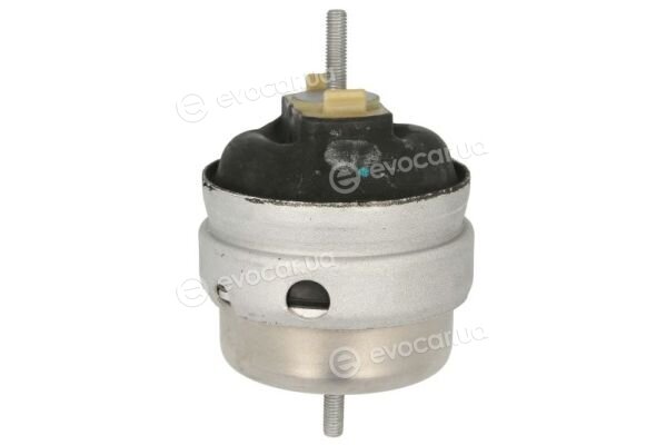 Reinhoch RH11-0162