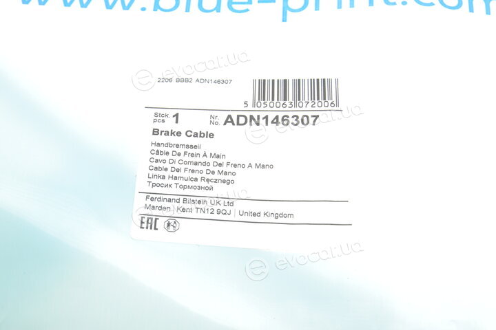 Blue Print ADN146307