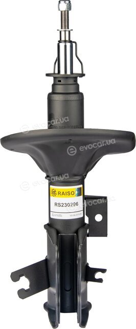Raiso RS230296