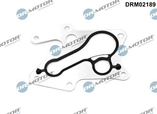 Dr. Motor DRM02189