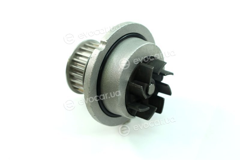Dolz O270