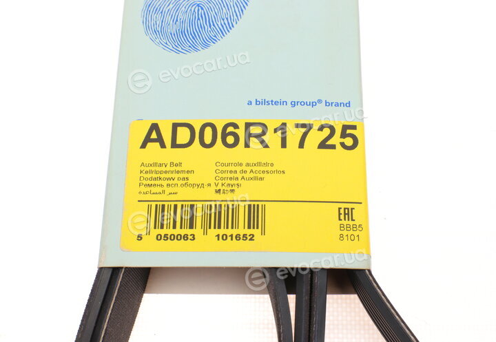 Blue Print AD06R1725