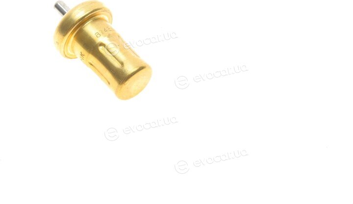 Mahle TI 244 83D