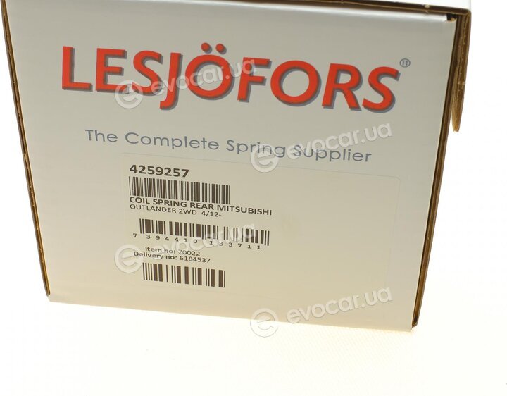 Lesjofors 4259257