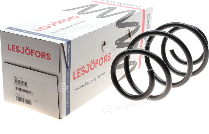 Lesjofors 4044277