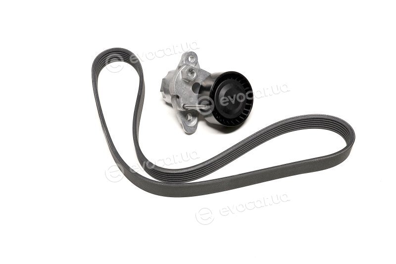 Continental 6PK1005K1