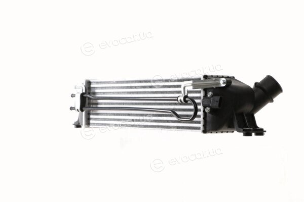 Mahle CI 392 000S