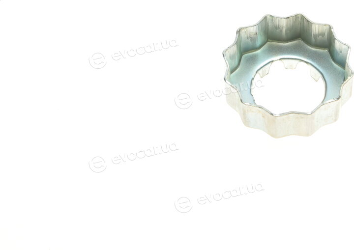 Solgy 216172