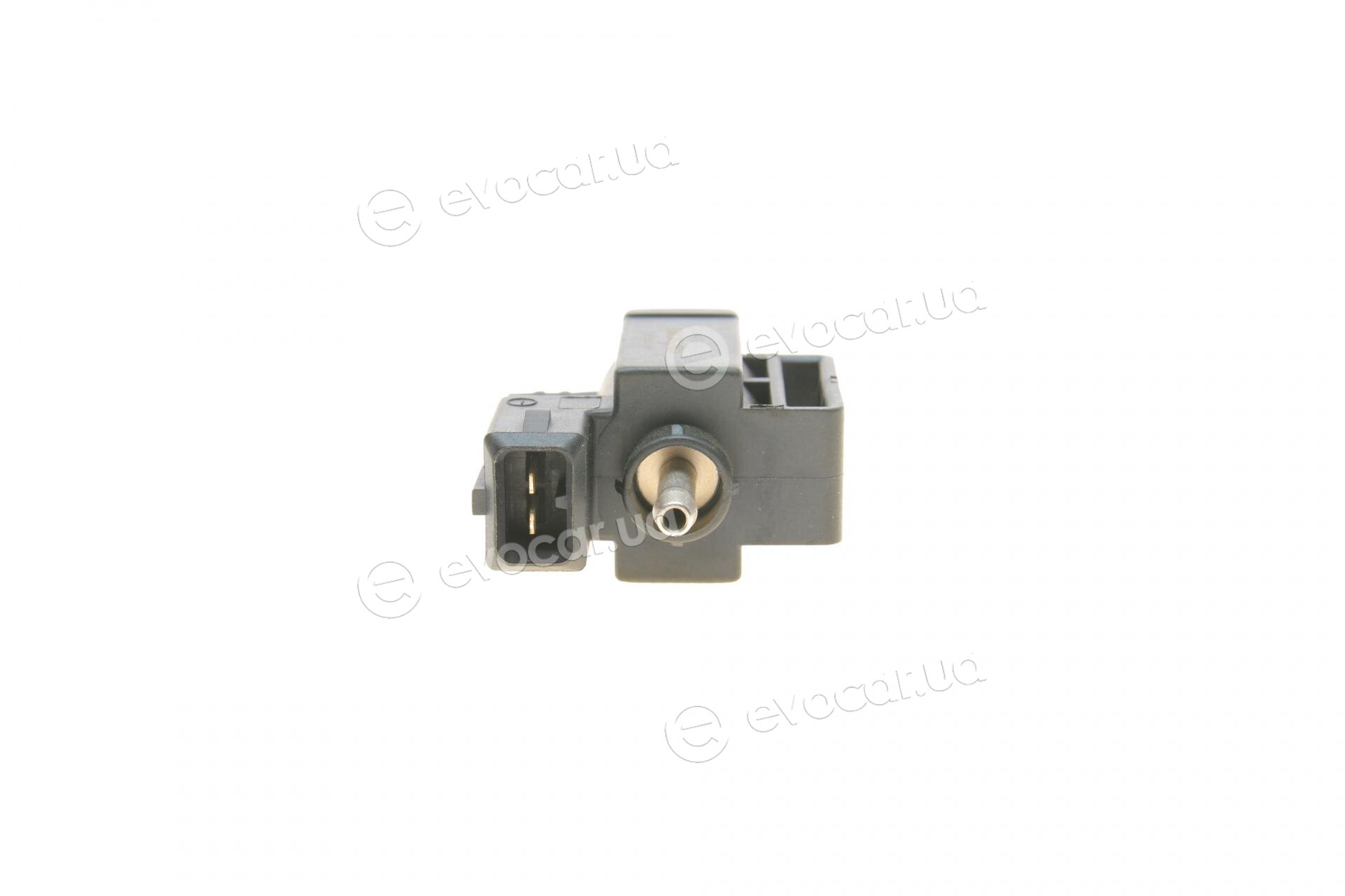 Bogap B6313104