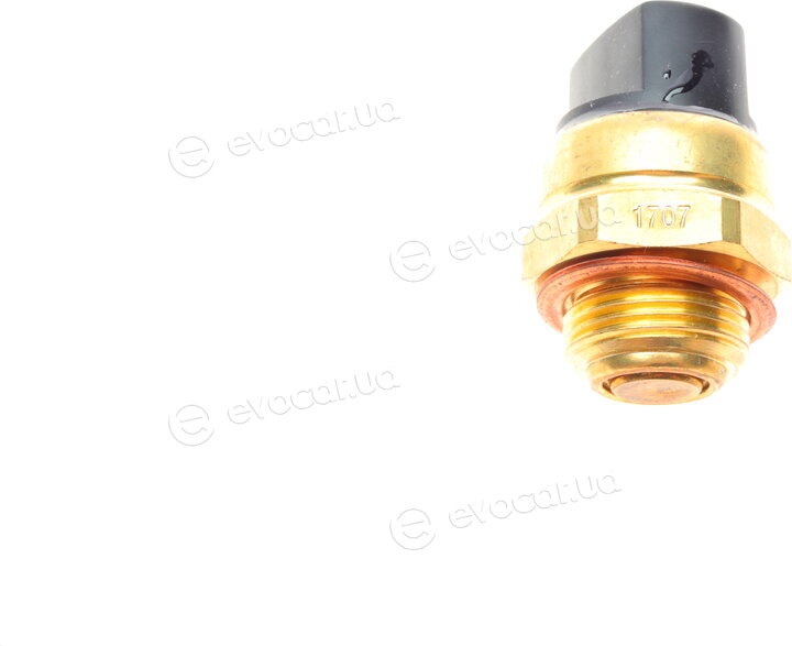 Borsehung B13131