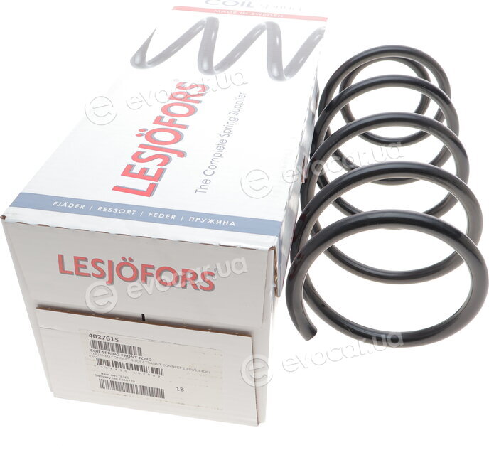Lesjofors 4027615