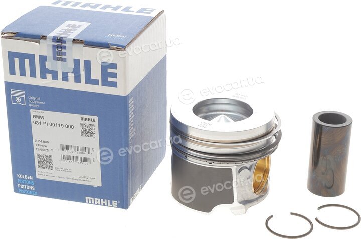 Mahle 081 PI 00119 000