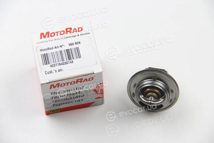 Motorad 565-82K