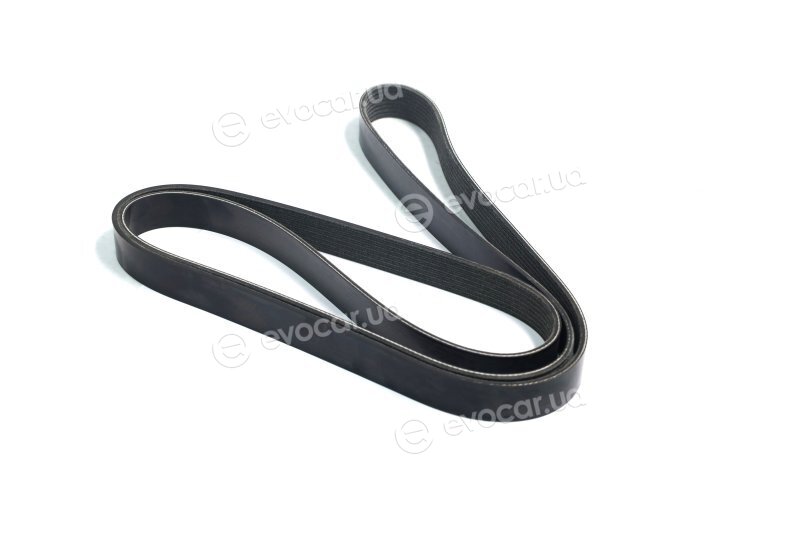 Dayco 8PK2110HD