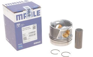 Mahle 028 PI 00116 002