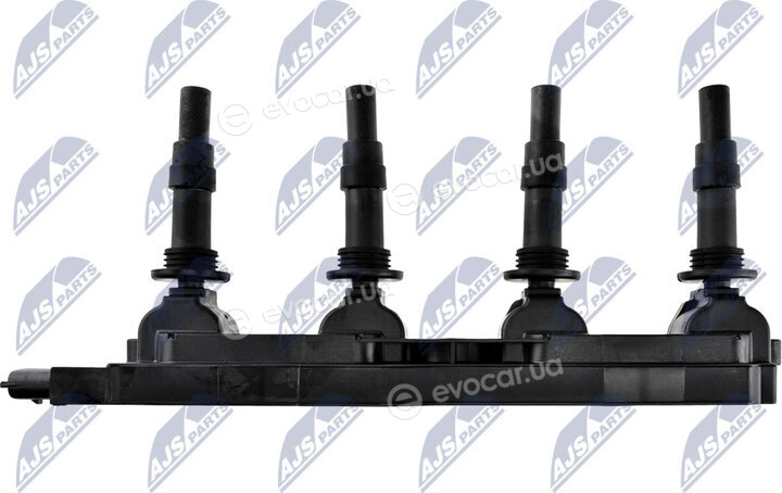 NTY ECZ-PL-004