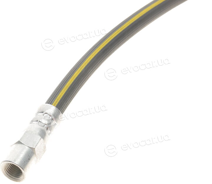 Solgy 210008