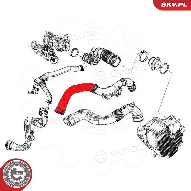 SKV 54SKV030