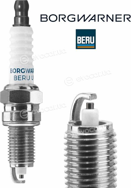 BorgWarner Z293