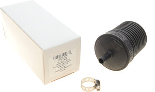 AIC 55266