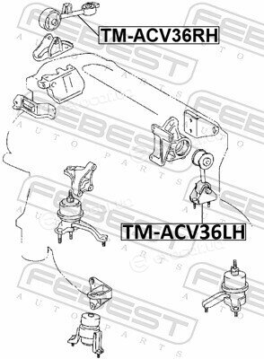 Febest TM-ACV36LH