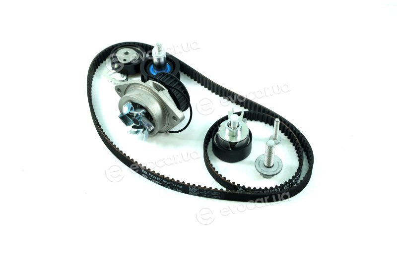 Gates KP45565XS