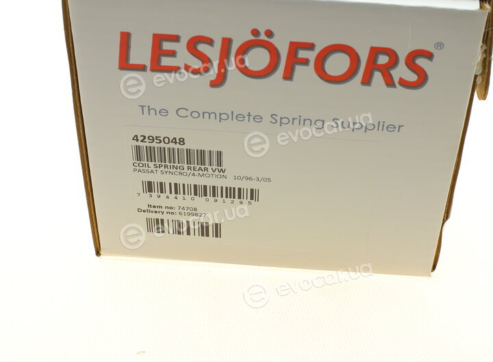 Lesjofors 4295048