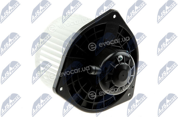 NTY EWN-MS-000