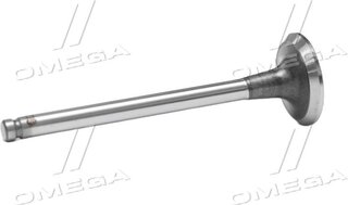 Gunes 4034