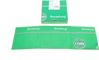 Borsehung B19045