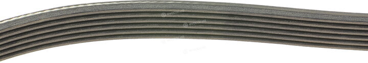 Dayco 6PK900