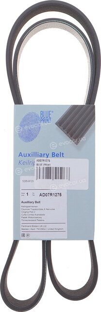 Blue Print AD07R1275