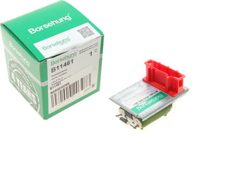 Borsehung B11461