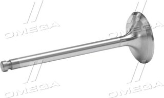 Gunes 3940